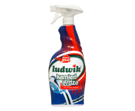 LUDWIK spray kamień i rdza 750 ml - 1434821 - zdjęcie 1